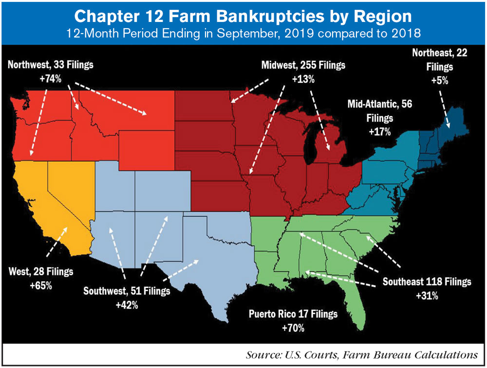 chapter 12 by region