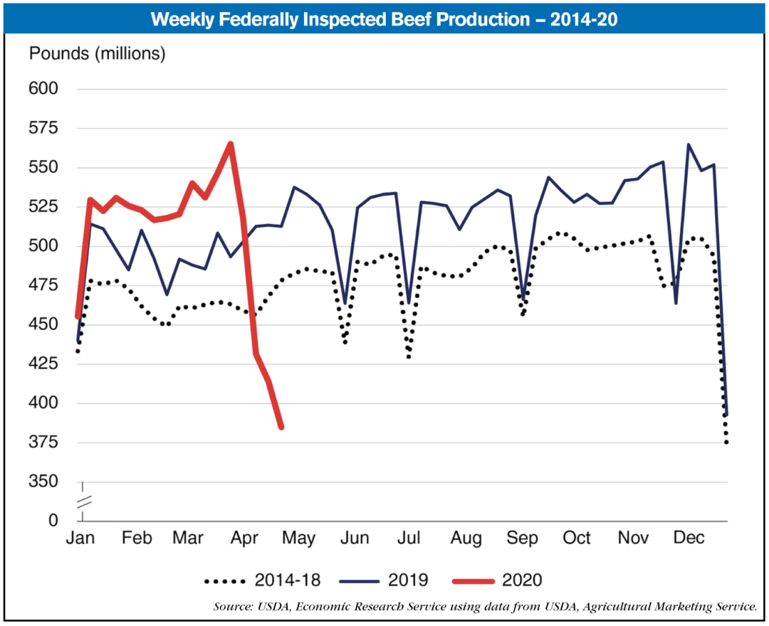 weekly beef production 2014-20