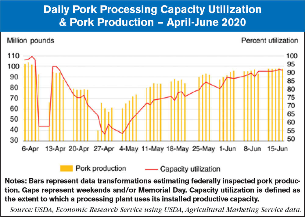 pork processing utilization April-june 2020