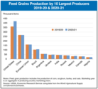 global feed grain production