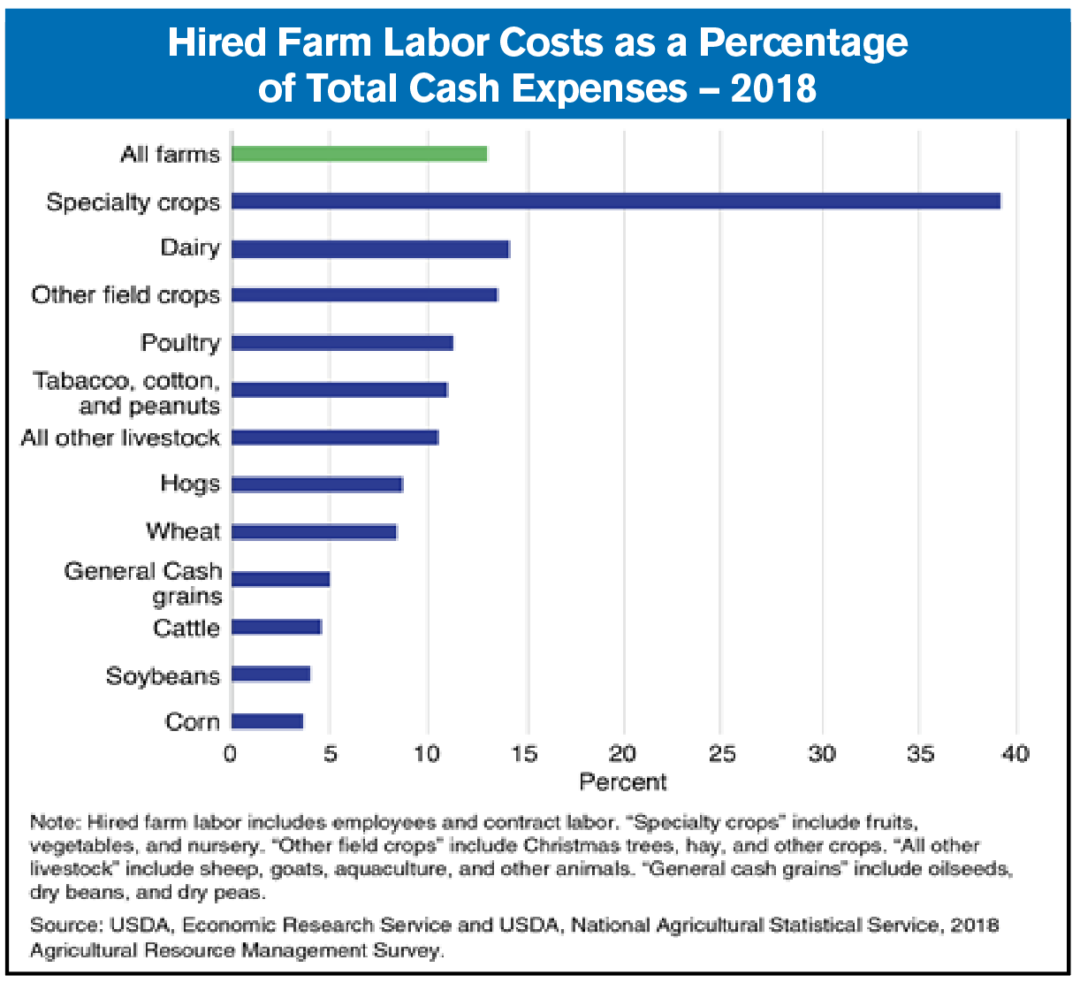 hired farm labor as a percentage of total cash expenses