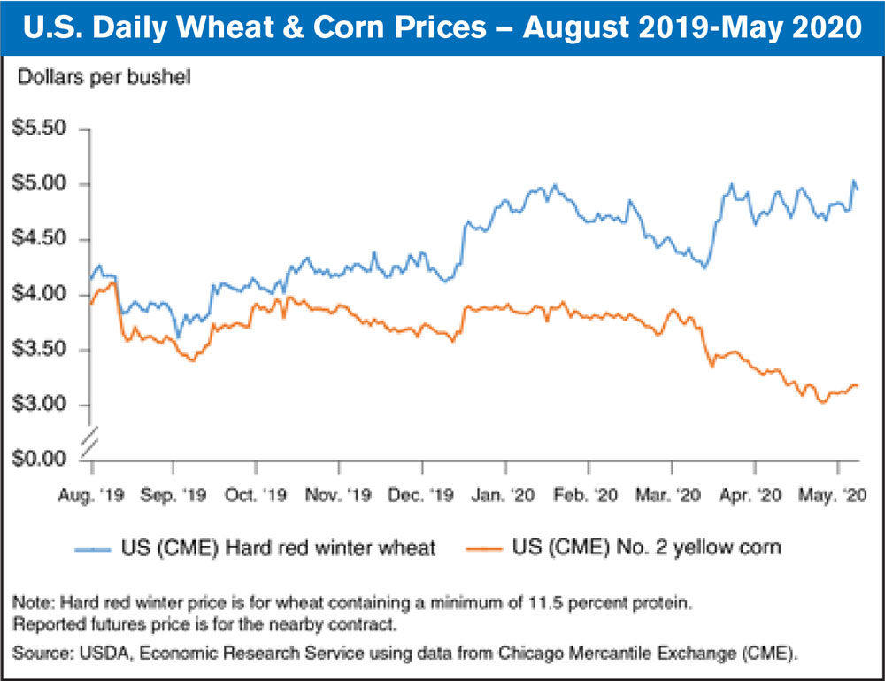 us daily wheat and corn prices